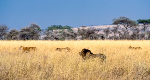 Southern & Eastern Serengeti Tanzania