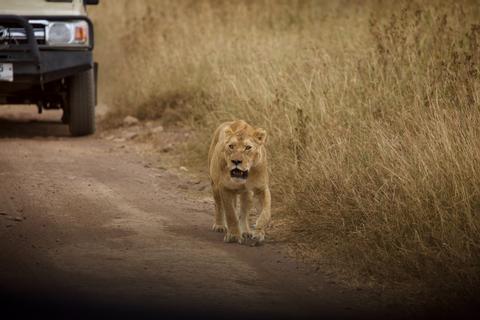 Southern & Eastern Serengeti Tanzania
