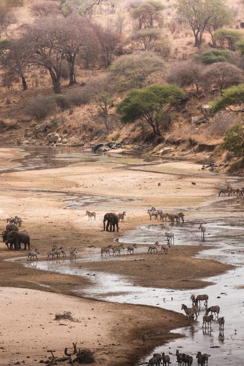 Tarangire National Park Tanzania