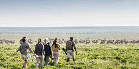 Tanzania Luxury Safari  Tanzania