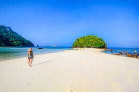 Chicken Island photo 2