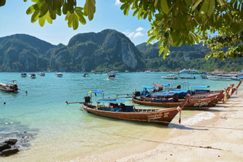 Phi Phi island photo 3