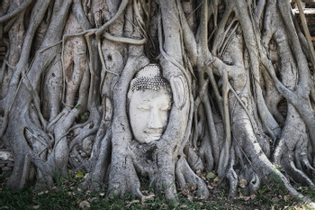 Bangkok – Full Day Ayutthaya Historical Park photo 3