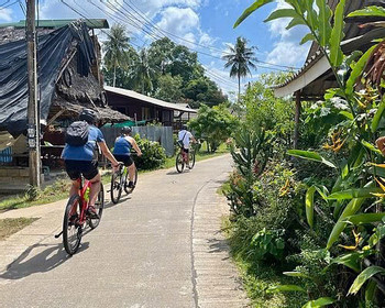 Full Day lesser-known Bangkok and Ayutthaya with Lunch: Boating and cycling in Koh Kret & best temples of Ayutthaya photo 2