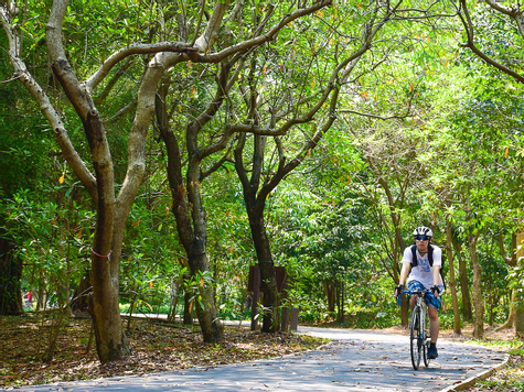 Half-Day Cycling - Colors of Bangkok 
