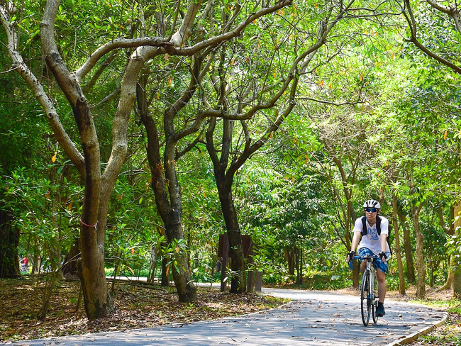 Half-Day Cycling - Colors of Bangkok  Photo