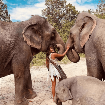 Full-Day Chai Lai Elephant Jungle Expedition photo 3