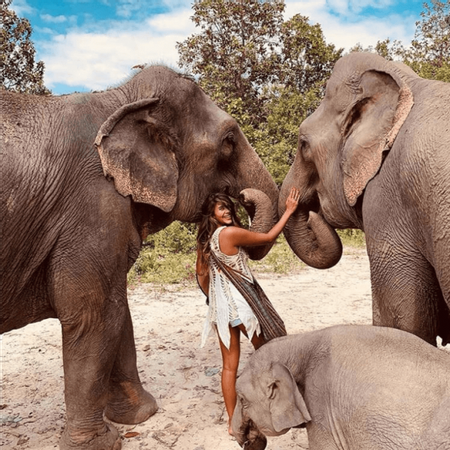 Full-Day Chai Lai Elephant Jungle Expedition photo 3