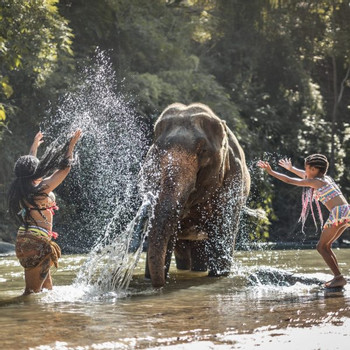 Full-Day Chai Lai Elephant Jungle Expedition photo 2