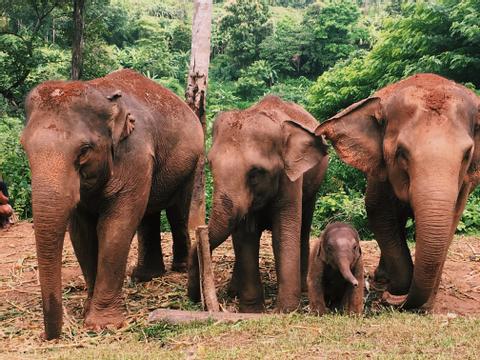Chiang Rai Thailand