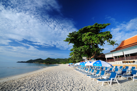 Hotel Recommendation #8