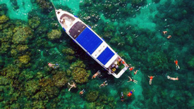 Full Day Phi Phi Island By Speedboat (Join Group)