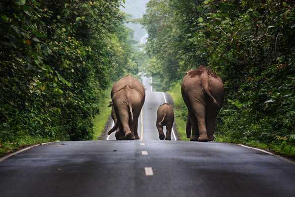 A Unique Thailand Experience, Thailand