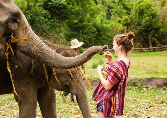 Thailand Discovery, Thailand