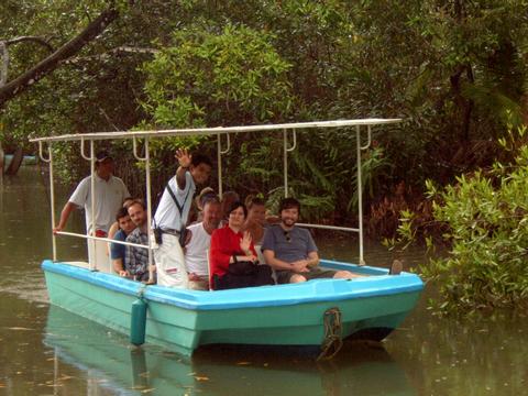 Damas Estuary Boat Trip Costa Rica