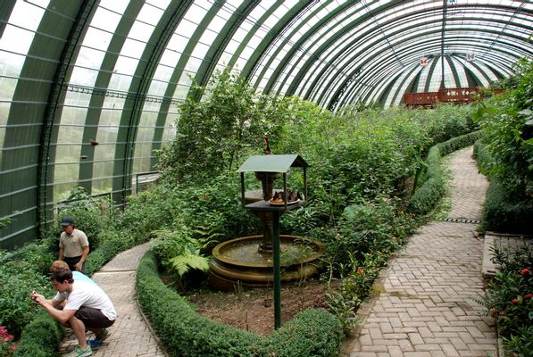 Butterfly Garden in Monteverde