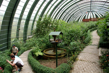 Butterfly Garden photo 3