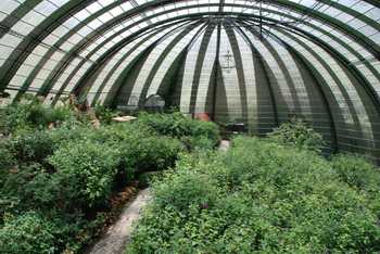 Butterfly Garden