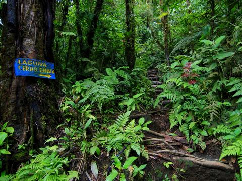 Cerro Chato Hike