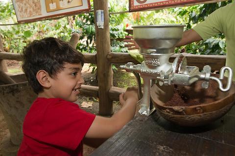 Tour 2 en 1 Puentes colgantes y tour de chocolate