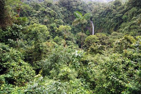 2 in 1 Hanging Bridges & Fortuna Waterfall Costa Rica