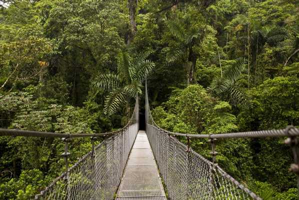 2 in 1 Hanging Bridges & Fortuna Waterfall