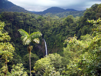 2 in 1 La Fortuna Waterfall and Volcano Hike