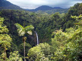 2 in 1 La Fortuna Waterfall and Volcano Hike