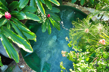2 in 1 Volcano Hike and Paradise Hot Springs photo 2
