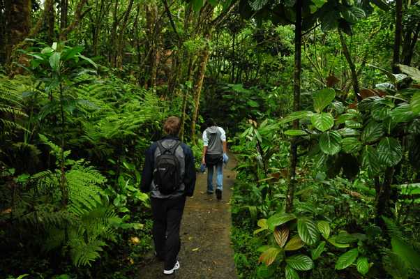 Ziplines, Bridges, Butterflies & Hummingbirds