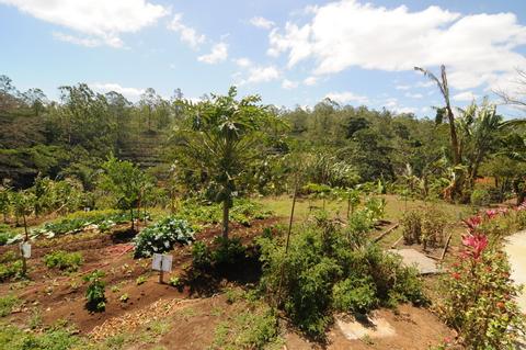 Espiritu Santo Coffee Tour Costa Rica