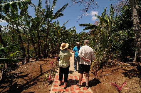 Espiritu Santo Coffee Tour