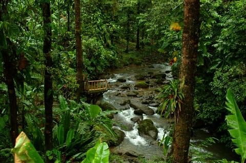 Canopy Safari Costa Rica