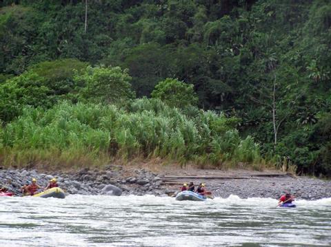 Reventazon River Rafting Class II-III Costa Rica