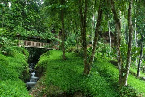 Pacuare River Rafting 4 Day Trip Costa Rica