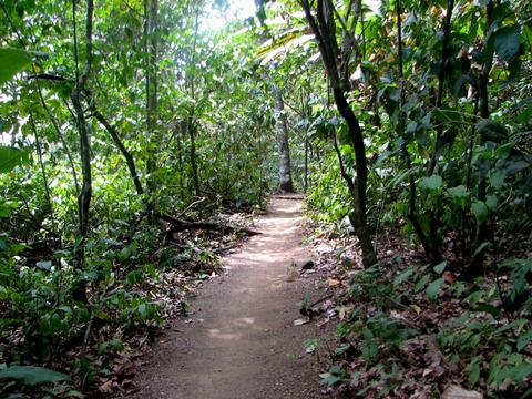 Corcovado National Park San Pedrillo Station Costa Rica