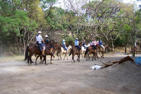 Forest & Beach Horseback Riding Costa Rica