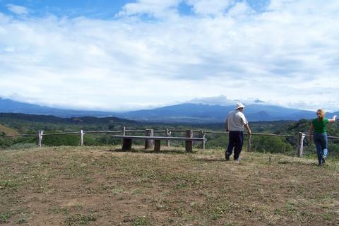 Forest & Beach Horseback Riding Costa Rica