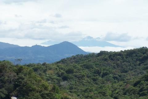 Forest & Beach Horseback Riding Costa Rica