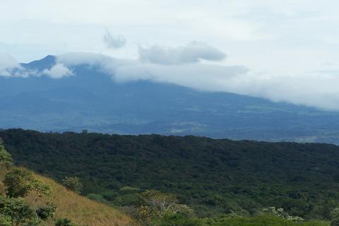 Forest & Beach Horseback Riding Costa Rica