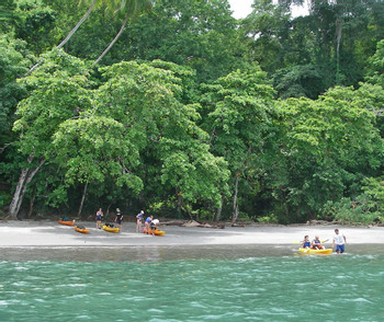 Jaco Sea Kayak and Snorkel photo 4