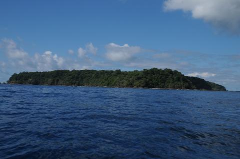 Whale Watching Tour Costa Rica