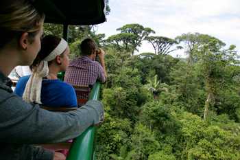 Rain Forest Aerial Tram