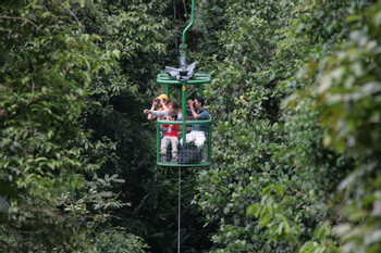 Teleférico del Bosque Lluvioso photo 3