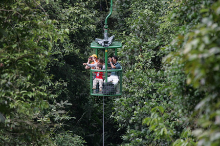 Teleférico del Bosque Lluvioso photo 3