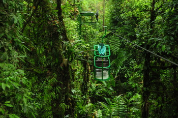 Teleférico del Bosque Lluvioso photo 4