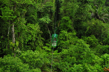 Teleférico del Bosque Lluvioso photo 5