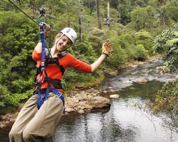 Rain Forest Canopy Tour