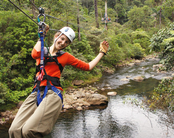 Tour de canopy Rain Forest photo 2