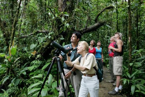 Rain Forest Birding Tour